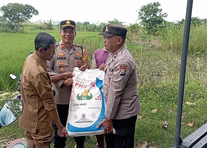 Polsek Cerme Dukung Ketahanan Pangan, Bantu Permudah Distribusi Bantuan Pupuk kepada Petani