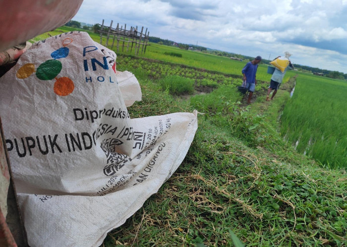 Disperta Beri Kesempatan Petani yang Belum Terdaftar, Usulan Kebutuhan Pupuk Masih Bisa Bertambah