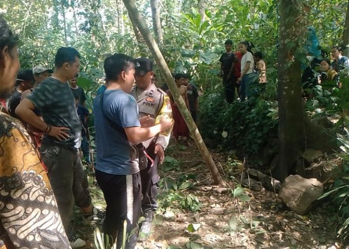 Kerangka Manusia Berserakan Ditemukan di Gunung Tengu Kalisat, Polisi Lakukan Identifikasi