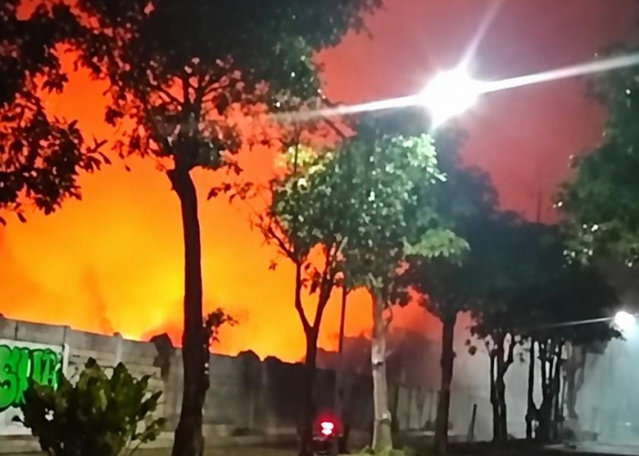 Kebakaran Landa Lahan Kosong di Kawasan Sukolilo Larangan, Damkar Surabaya Gerak Cepat Padamkan Api