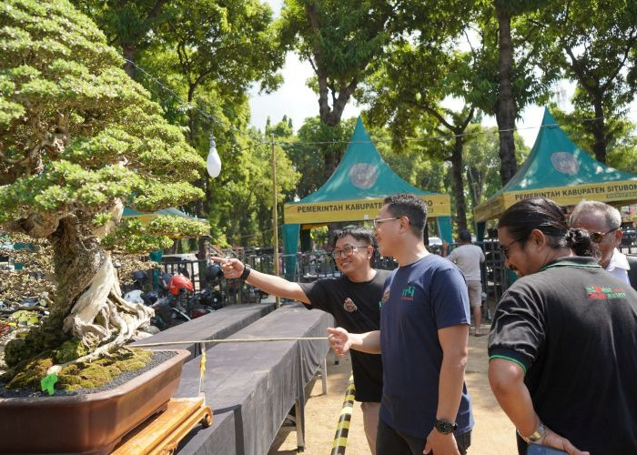 Hari Bhayangkara Ke-80, 700 Bonsai dari Nusantara hingga Malaysia Ramaikan Situbondo