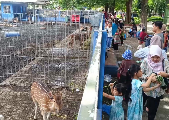 Libur Sekolah, Taman Flora Surabaya Jadi Destinasi Favorit Wisata Keluarga