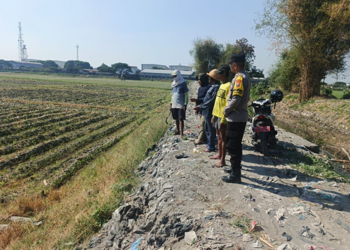 Bhabinkamtibmas Dampingi Petani Jagung, Perkuat Ketahanan Pangan di Kota Kediri
