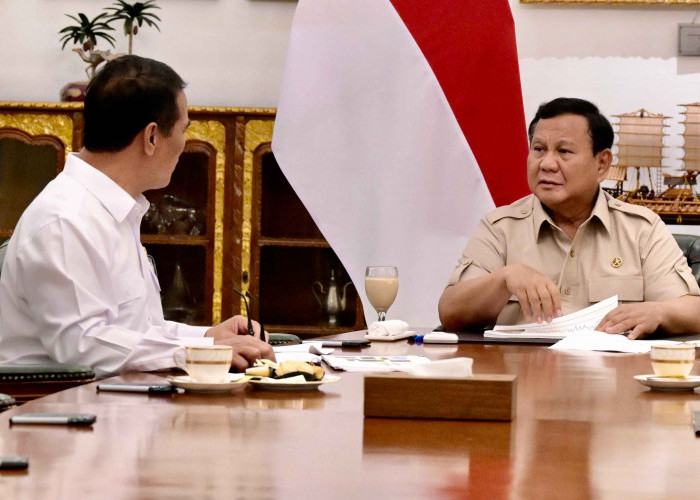 870 Ribu Hektare Perkebunan Rakyat Disiapkan, Ciptakan Lapangan Kerja Baru