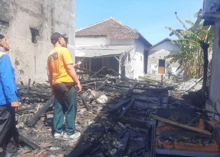 Kebakaran Mimbo Situbondo Hanguskan 3 Rumah Lansia, Uang Tunai Rp 160 Juta Ludes