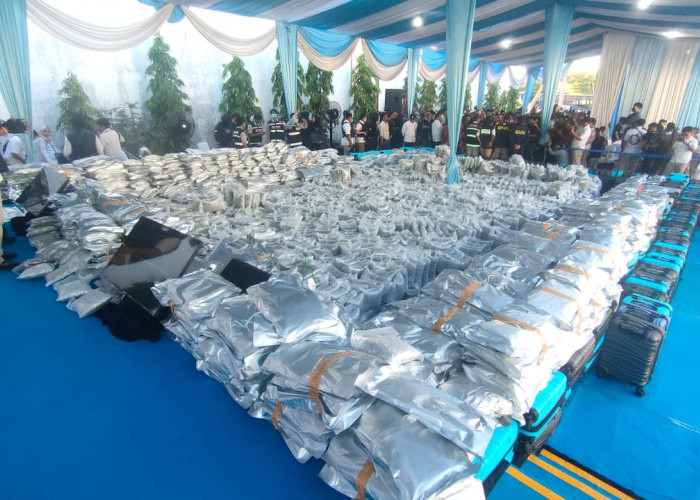 3,37 Ton Cannabis Buds Dibongkar BNN RI di Gresik, Bali Jadi Sasaran Utama Distribusi