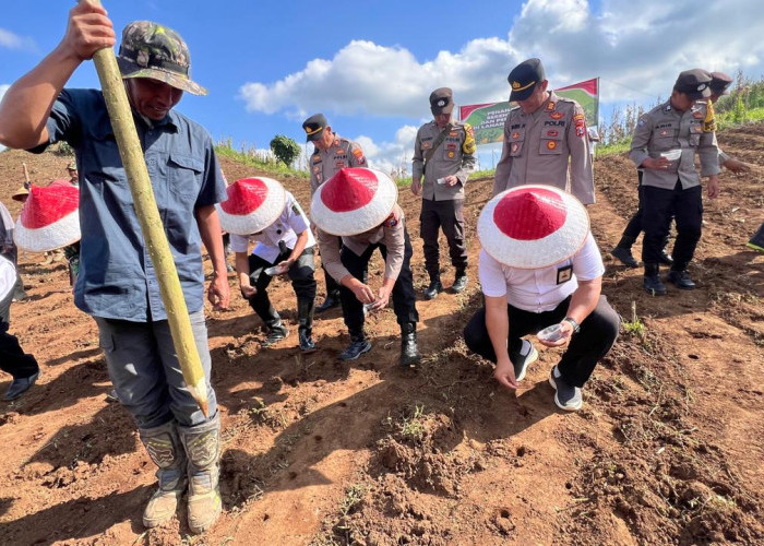 Polresta Banyuwangi Tanam Jagung Serentak Kuartal III di Lahan PTPN, Dukung Asta Cita Presiden