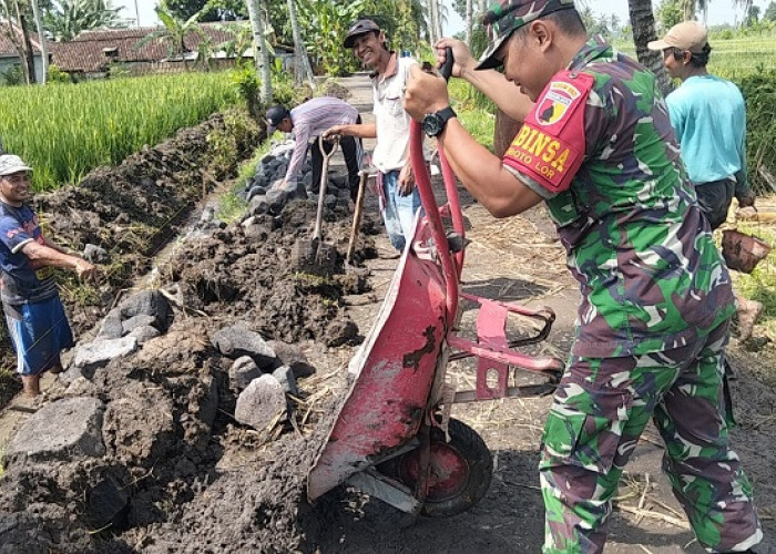 Babinsa dan Masyarakat Kaliboto Lor Bersatu Bangun Plengsengan Pertanian