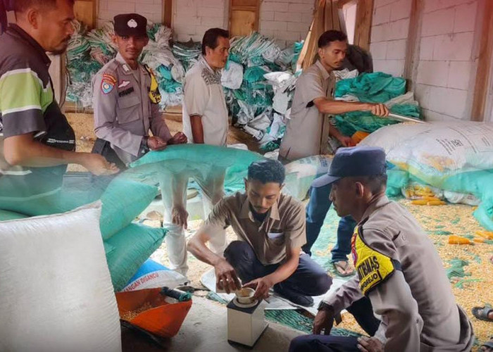 Polsek Malo Kawal Penjualan Hasil Panen Jagung ke Bulog Bojonegoro