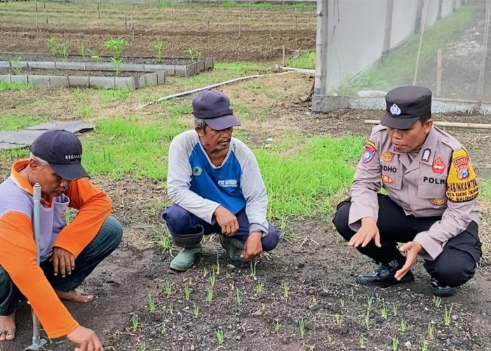 Polisi Pantau Pekarangan Pangan Bergizi di Balongbendo, Dukung Ketahanan Pangan Nasional