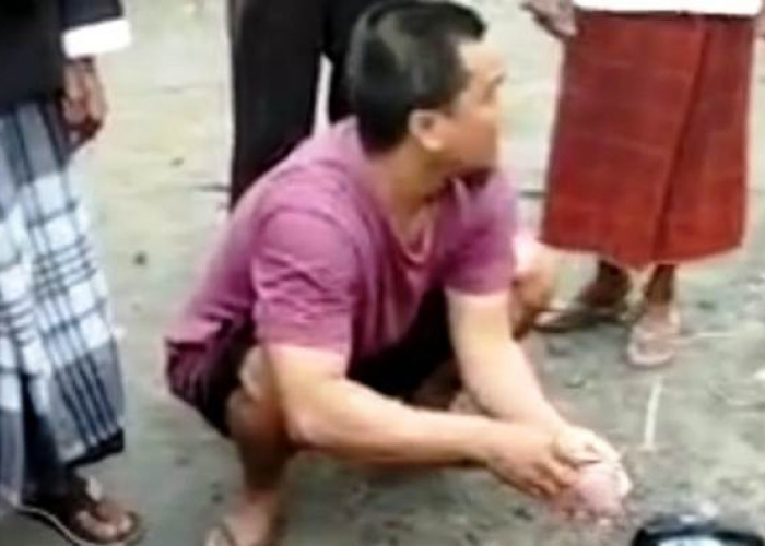 Mobil Pikap Tabrak Sepeda Motor di Bondowoso, Satu Keluarga Tewas Termasuk Ibu Hamil