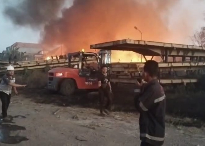 Dua Hektare Alang-Alang di Margomulyo Terbakar, Api Merembet ke Gudang Rongsokan
