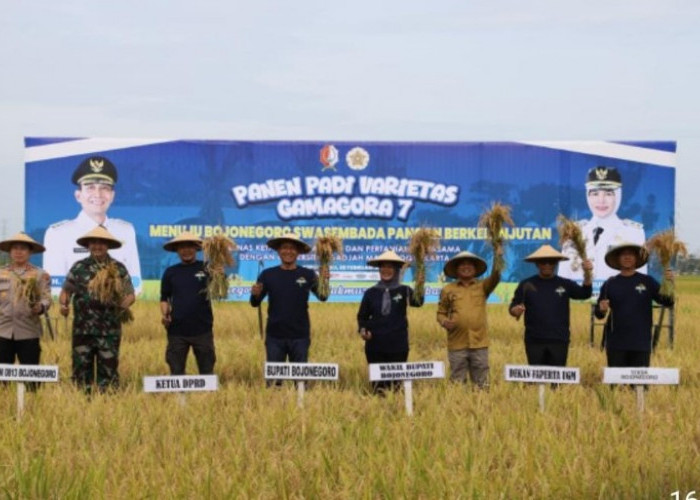 Panen Raya Bareng UGM, Bupati Setyo Wahono Targetkan Bojonegoro Produsen Padi Tertinggi Nasional 2028