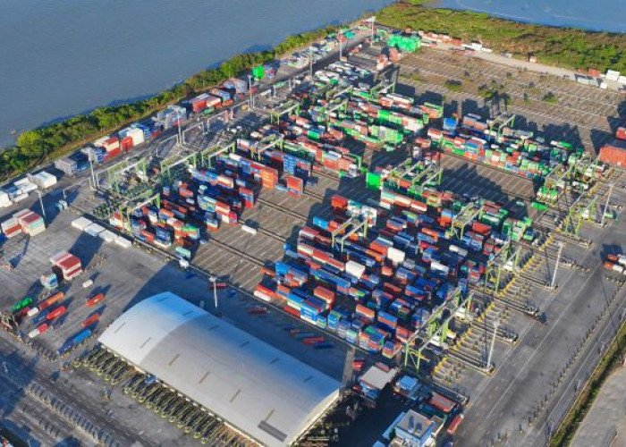 Logistik Internasional Kian Minati Terminal Teluk Lamong, Arus Peti Kemas Naik