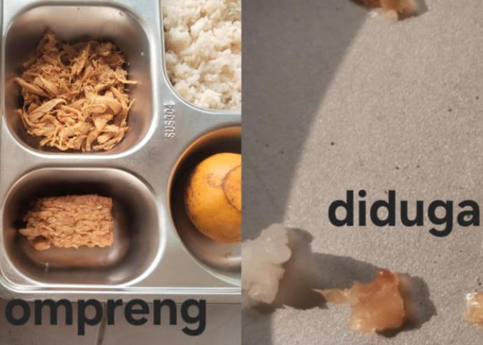 Menu MBG di Lamongan Diprotes Diduga Ada Ulat, SPPG Beri Klarifikasi Itu Udang Rebon