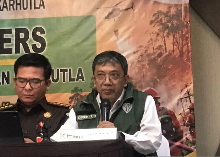 Kemenhut Proses Hukum 46 Subjek Karhutla di 10 Provinsi