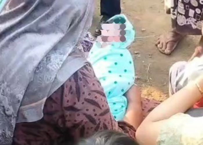 Bayi Baru Lahir Ditemukan Tergeletak di Bawah Pohon Mangga di Klampis Bangkalan, Polisi Lakukan Penyelidikan