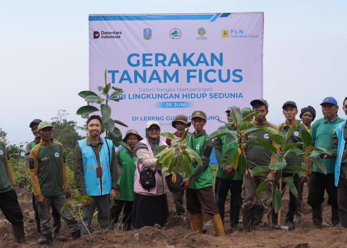 PLN Indonesia Power UBP Grati dan LPHD Arjuno Lestari Tanam Pohon Ficus untuk Jaga Kelestarian Sumber Air