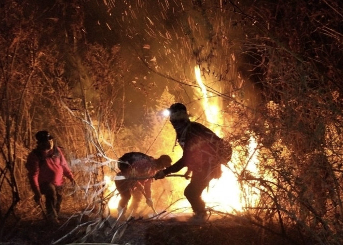 Karhutla Tahura R. Soerjo Mengganas Capai 170 Hektare, Pemprov Jatim Tutup Jalur Pendakian 