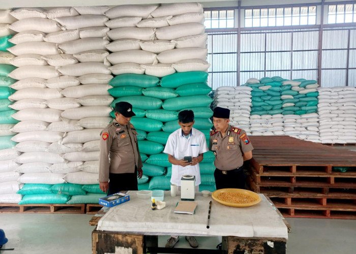 Polsek Pacet Kirim 1 Ton Jagung ke Gudang Ketahanan Pangan Polri, Total Serapan Polres Mojokerto 364,81 Ton