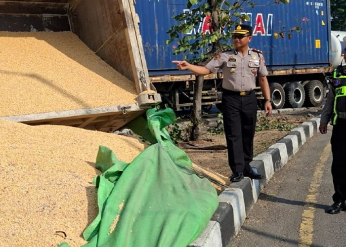 Dump Truk Bermuatan Jagung Terguling di Bypass Balongbendo, Kapolsek Turun Bantu Evakuasi
