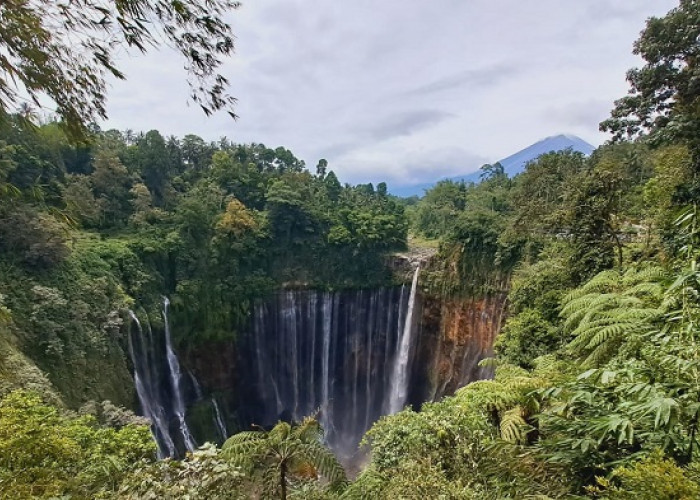 Jangan Sampai Lupa! Ini Perlengkapan Penting saat Liburan ke Air Terjun 