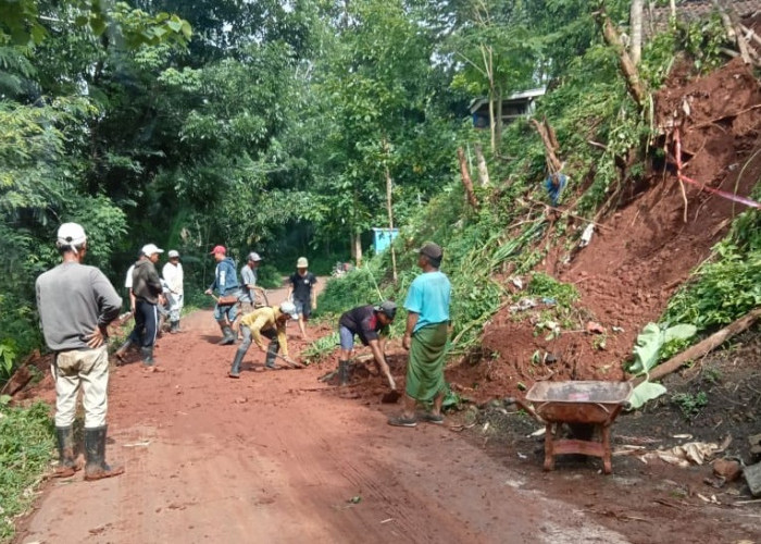Awal Tahun 2026, Warga Situbondo Dihantui Bencana Tanah Longsor