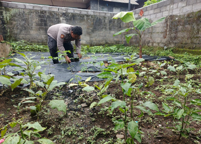 Sukseskan Program Asta Cita, Polsek Gucialit Aktif Dukung Ketahanan Pangan Nasional