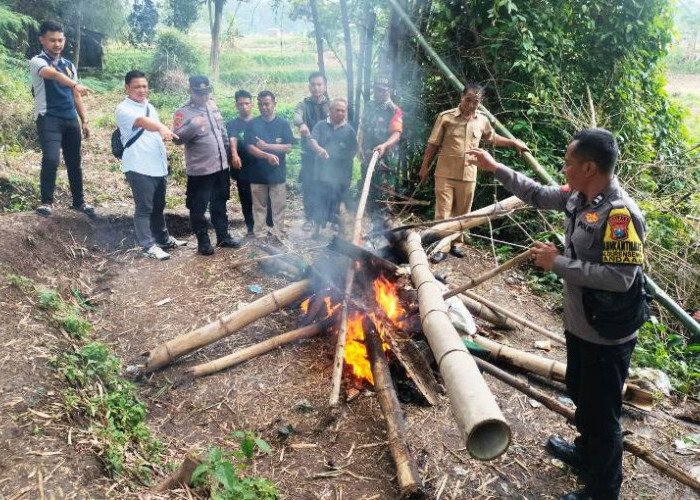Polres Pasuruan Bakar Sarana Judi Sabung Ayam di Desa Mendalan Pandaan