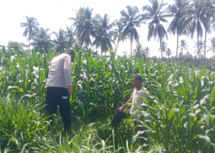 Sukseskan Program Asta Cita, Polri Gandeng Petani Candipuro Dukung Program Ketahanan Pangan Nasional