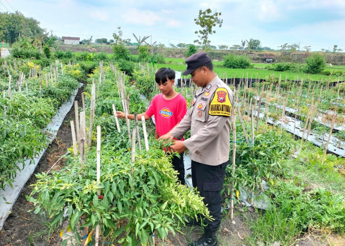 Bhabinkamtibmas Polsek Widodaren Sambangi Warga, Dorong Pemanfaatan Lahan untuk Ketahanan Pangan