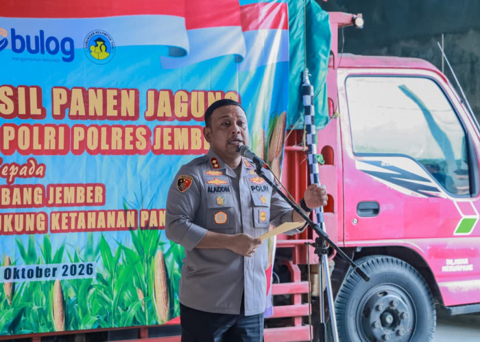 Bukan Sekadar Panen, Polres Jember Pastikan Jagung Petani Punya Kepastian Pasar