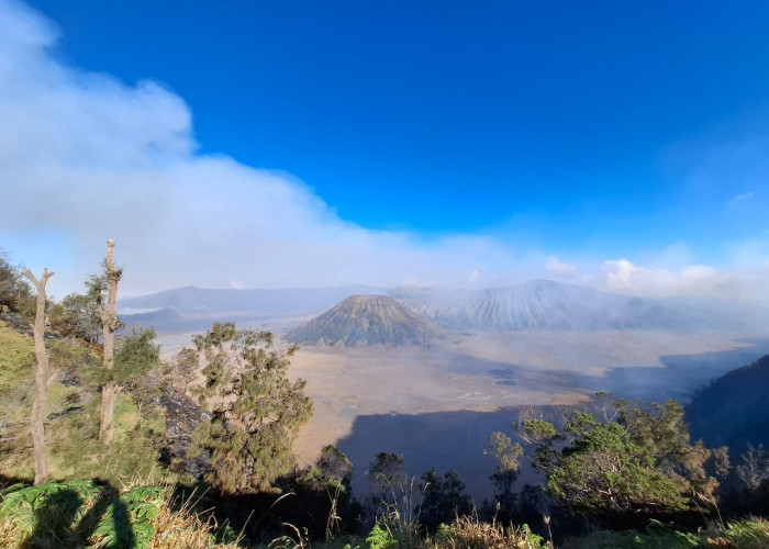 Wisata Bromo Dibuka Lagi Mulai 20 Agustus