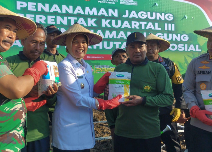 Pemkab dan Polres Bojonegoro Bersinergi Wujudkan Ketahanan Pangan Gelar Penanaman Jagung