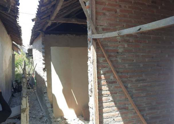 Rumah Terdampak Gempa Situbondo Magnitudo 5,7 Bertambah Jadi 64 Unit