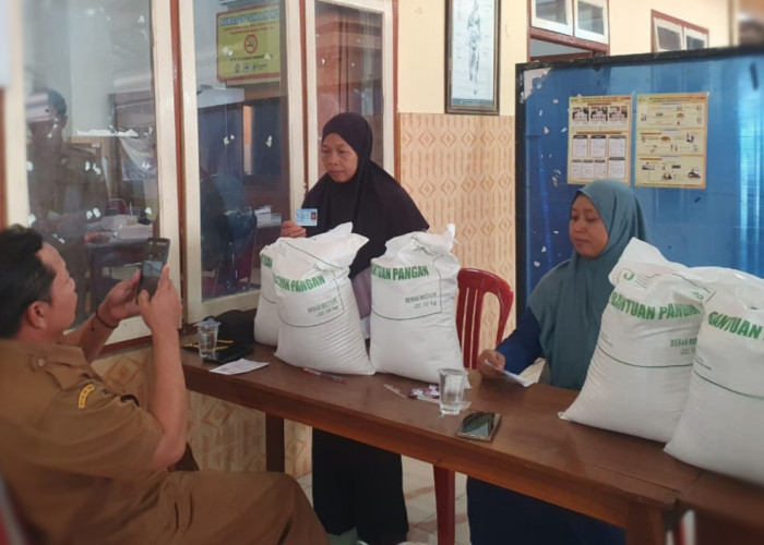 Viral di Medsos Dugaan Jual Beli Banpang, Bulog Gandeng Polisi Lakukan Penelusuran