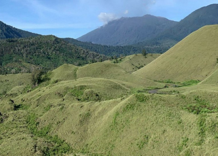 Kawah Wurung Bondowoso, Padang Savana Hijau yang Memesona di Lereng Ijen