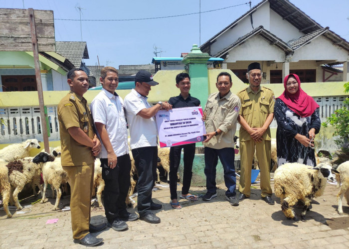 SIG Pabrik Tuban Serahkan Bantuan 36 Ekor Kambing kepada Kelompok Taruna Tani Desa Sumberejo