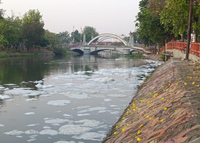 Sungai Darmo Kali Tercemar, DLH Surabaya Akan Cek ke Lokasi