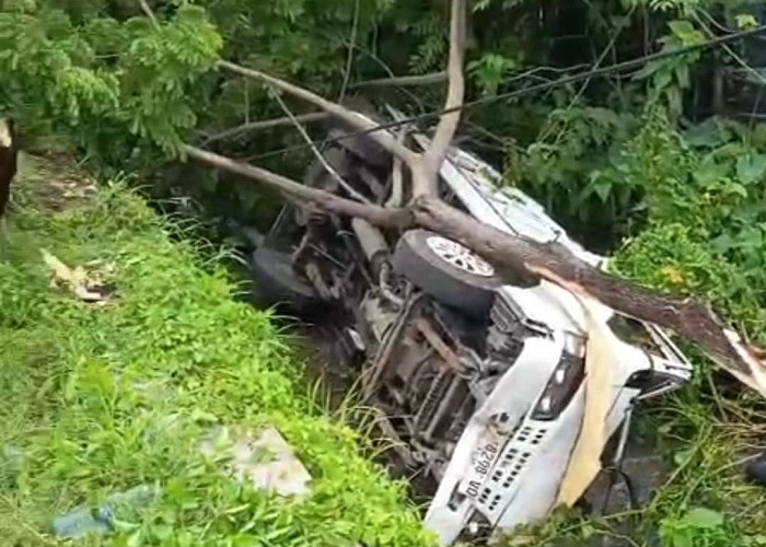 Pikap Bermuatan 2 Ton Ikan Masuk Saluran Irigasi di Jalur Pantura Situbondo