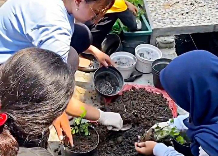 Potensi Peningkatan Perekonomian Masyarakat Kampung Katuk Krembangan Utara Surabaya