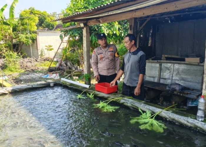 Bhabinkamtibmas Geneng Monitoring Budidaya Lele Warga, Perkuat Ketahanan Pangan di Ngawi 