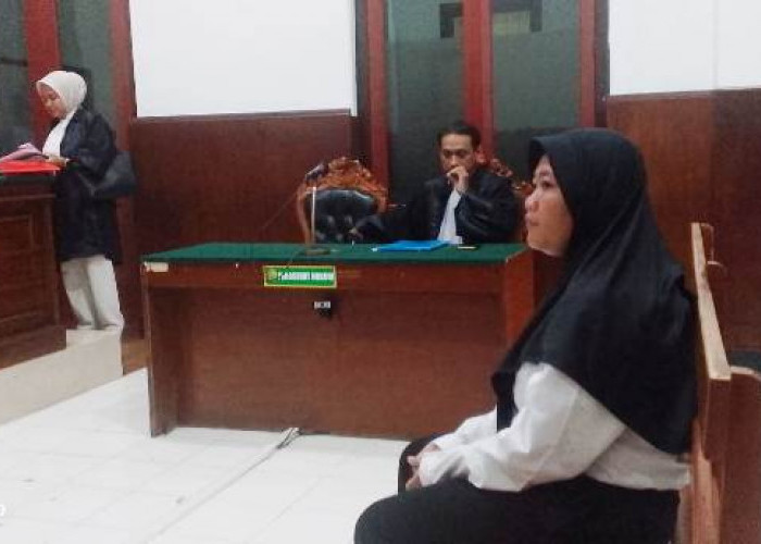 Kurir Ganja 4 Kg Asal Malang Divonis Majelis Hakim PN Surabaya 12 Tahun Penjara Tanpa Denda 