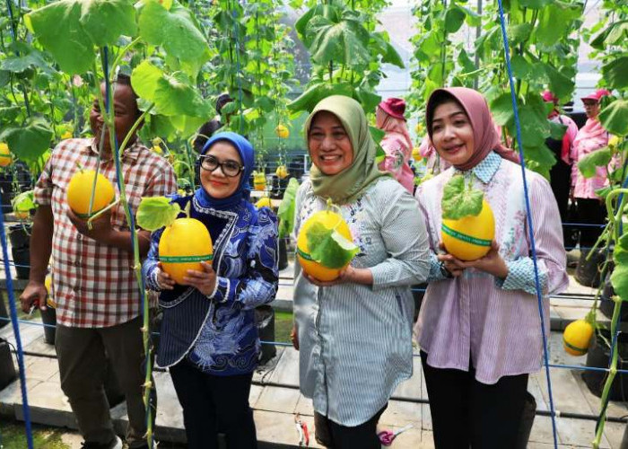 Antisipasi Lonjakan Harga Akhir Tahun, Pemkot Surabaya Ajak Warga Budidaya Cabai dan Bawang