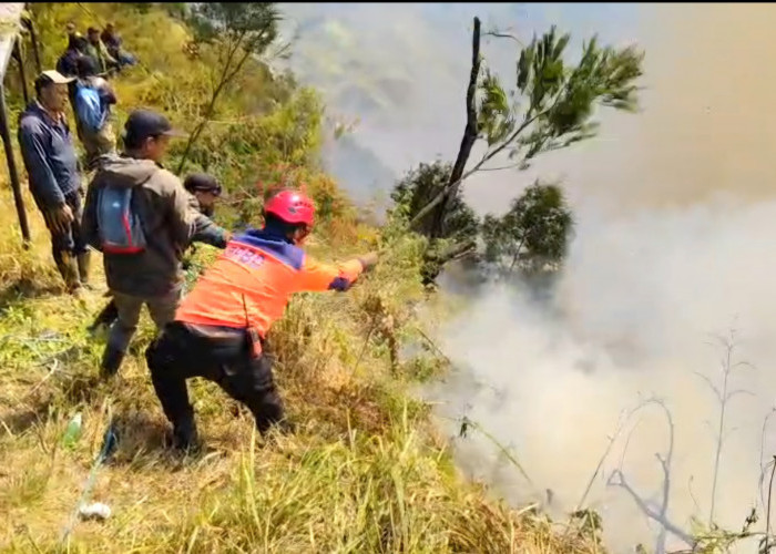 Kebakaran Hutan Bromo Meluas, Api Merambat ke Tebing Curam dan Ranu Pani