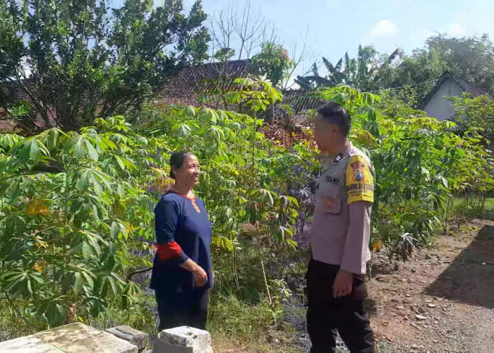 Ketela Jadi Andalan Ketahanan Pangan, Polsek Padas Dampingi Warga Manfaatkan Pekarangan Produktif di Ngawi