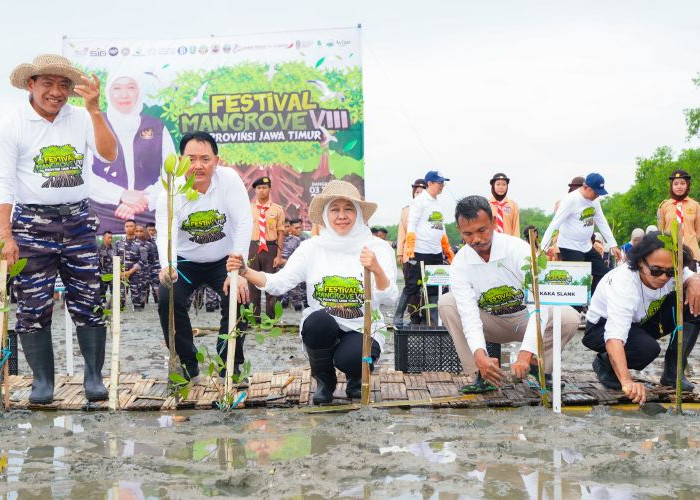 Peringati Hari Gerakan Satu Juta Pohon, Khofifah Ajak Warga Jawa Timur Peduli Lingkungan