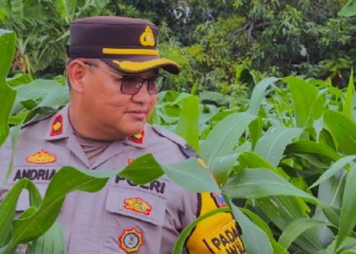 Kapolsek Kenjeran Bergerak Nyata Dukung Ketahanan Pangan