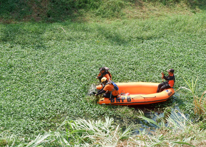 Petugas Gabungan Bersihkan Sampah di Sungai Kembang Mejayan