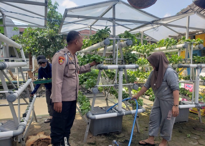 Warga Mutiara Citra Asri Kembangkan Kebun Hidroponik Mandiri, Polisi Beri Apresiasi